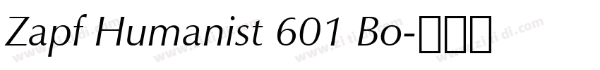 Zapf Humanist 601 Bo字体转换